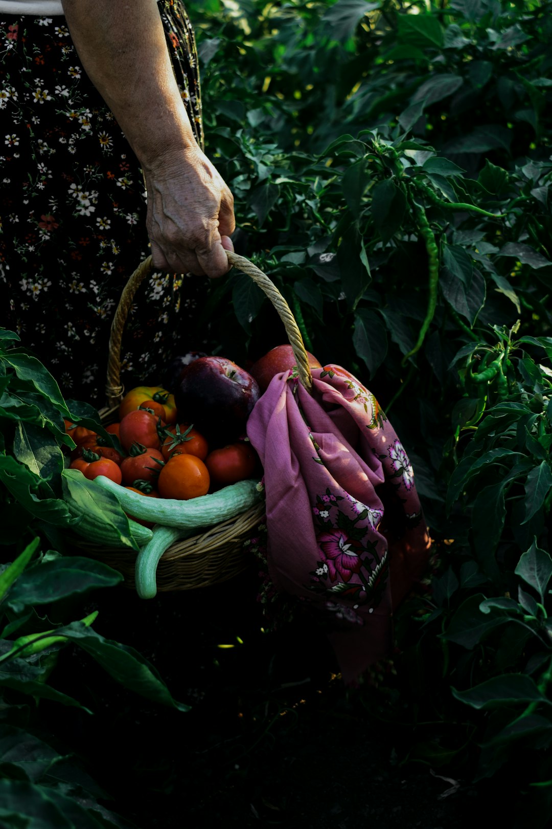 Agricultura